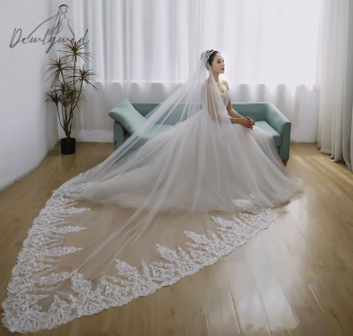 Sophia Lace Trim Veil