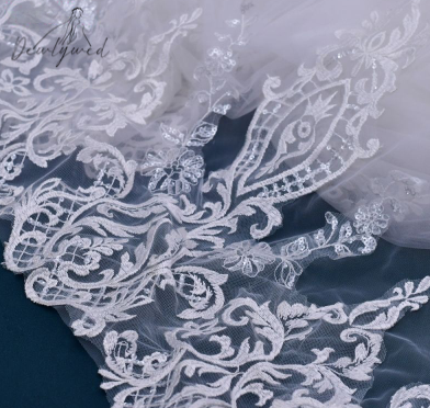 Sophia Lace Trim Veil