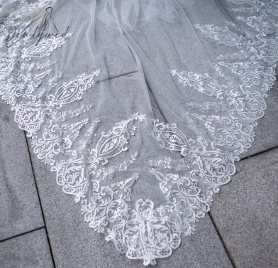 Sophia Lace Trim Veil