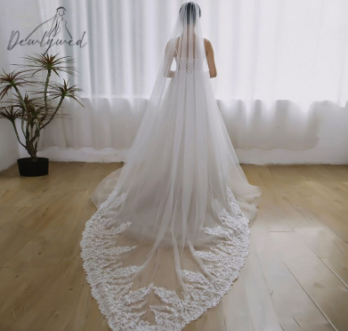 Sophia Lace Trim Veil